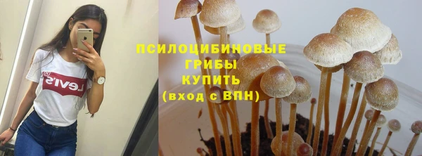 твердый Алзамай