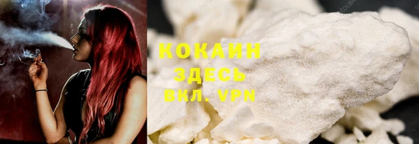 твердый Алзамай