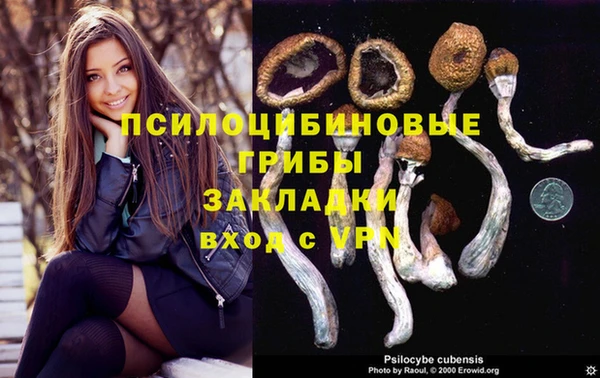 твердый Алзамай