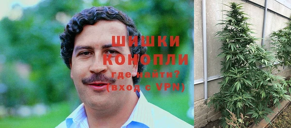 твердый Алзамай