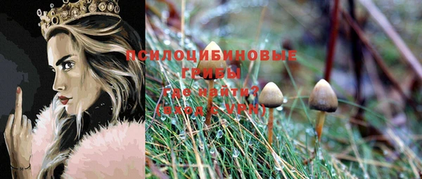 амфетамин Покачи