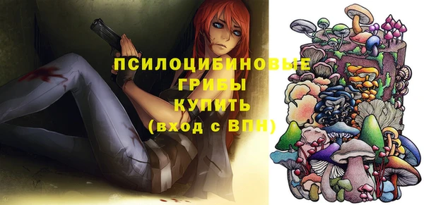 первитин Алексин