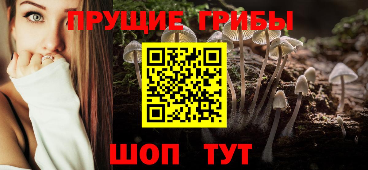 Псилоцибиновые грибы Magic Shrooms  Вход с VPN  наркошоп  Ленинск-Кузнецкий 