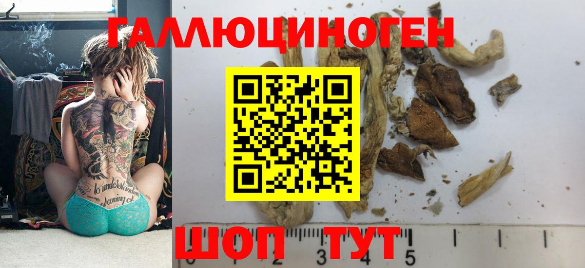 Псилоцибиновые грибы Magic Shrooms Ленинск-Кузнецкий